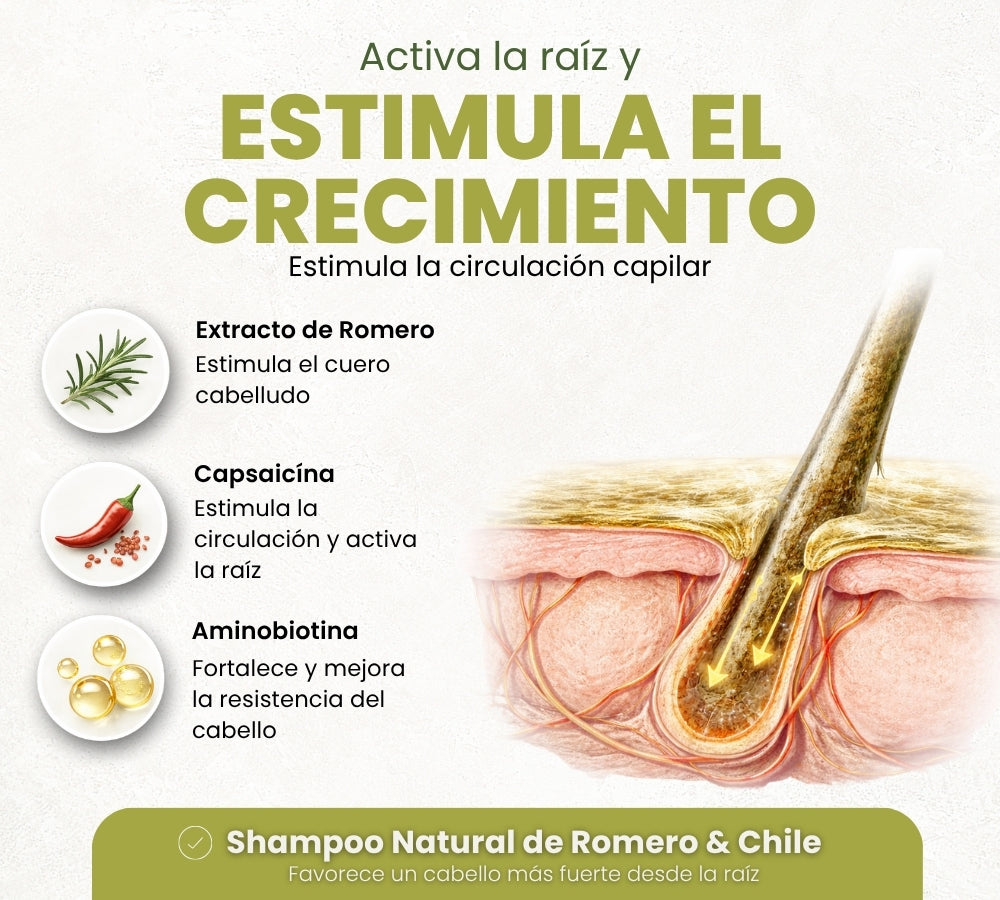 Verde Romero Shampoo 490ml. | Estimula el Crecimiento, Reduce la Caída y Fortalece el Cabello desde la Raíz