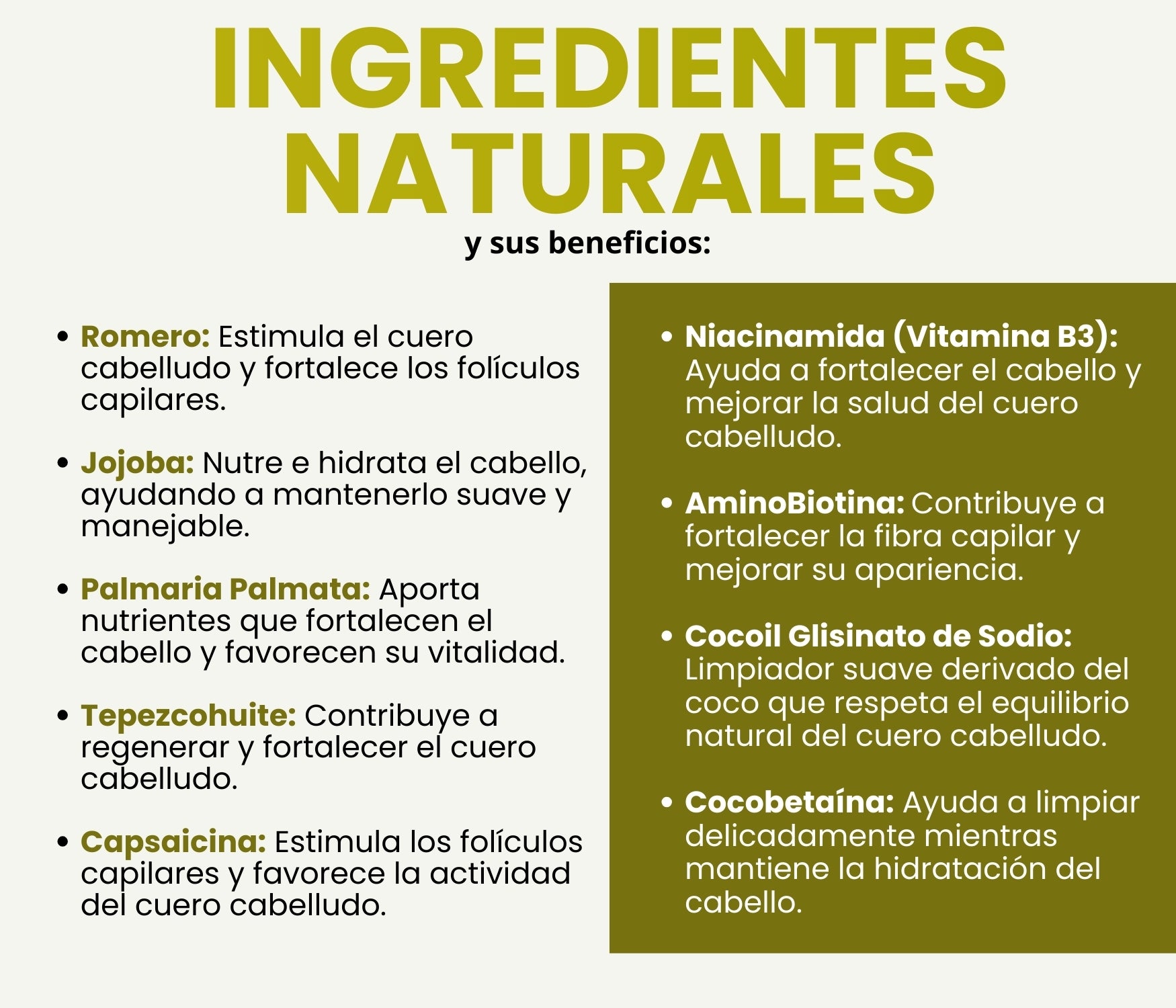 Shampoo Crescia 990ml. | Crecimiento Acelerado del Cabello, Anticaída Potente, Regeneración Capilar, Cabello Más Largo, Fuerte y Abundante desde la Raíz